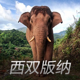 《乌云之上》25岁的她长相清新、身材曼妙，李小冉有“接班人”了